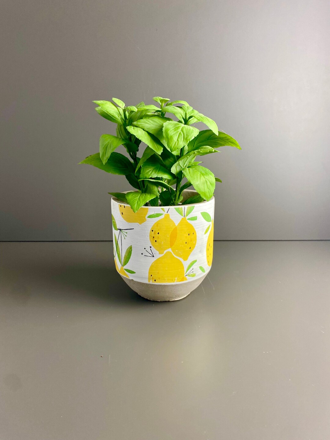 35+ Blumentopf Mit Zitronen, Bei idealo.de günstige preise für