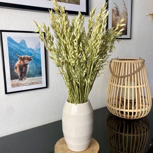 Getrockneter Hafer, grün Avena - natürliche Trockenblumen - Haferbund - Flachs - Rustikale Deko - Naturdekoration