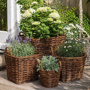 Può includere: Una collezione di cesti in vimini marrone di varie dimensioni, riempiti con piante verdi e lavanda viola. I cesti sono disposti su un ponte di legno, con uno sfondo di vegetazione e un muro di mattoni.