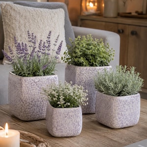 Può includere: Un set di quattro vasi quadrati in ceramica con una smaltatura maculata color lavanda e bianco. Ogni vaso contiene una diversa pianta artificiale, tra cui lavanda viola, un piccolo arbusto verde, gipsofila bianca e una pianta aromatica verde argento.