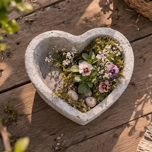 May include: A heart-shaped concrete planter filled with moss, small stones, and pansies with purple and yellow petals. The planter sits on a wooden surface, with a woven basket in the background.