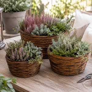 Pode incluir: Três cestos redondos de vime entrançado castanho-escuro de tamanhos variados, cada um preenchido com uma mistura de folhagem verde e plantas de urze em flor em tons de roxo e branco, dispostos juntos numa superfície de madeira clara.