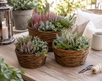 Round planting basket, grapevine planting bowl, wicker planting basket, planter, basket bowl for garden & patio – 3 sizes