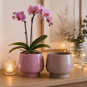 Könnte beinhalten: Ein leuchtend rosa Keramikübertopf mit einer blühenden Orchidee mit violetten und weißen Blüten, neben einem leeren, etwas helleren malvenfarbenen Keramikübertopf. Beide Übertöpfe haben eine glatte, glänzende Oberfläche und einen erhöhten Boden.