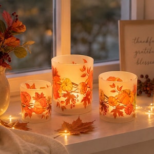 kerzen glühbirne Leuci Kerze E14 Klar – 10 Stück, 60 W, Warmweiß, Dimmbar, Matt, Klassische Glühlampe Aus Europa Kunstzweig SKOG | 38cm