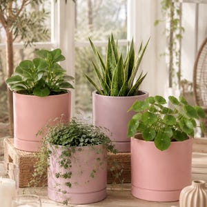 May include: Four cylindrical ceramic planters in shades of light pink and lavender, each containing a different green houseplant. The pots are arranged on a wooden surface alongside two white candles and two stacked books titled The Kinfolk and Live Beautiful.