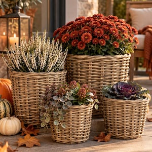 Rattankorb, Pflanzkorb rund, Übertopf Naturkorb - Blumentopf mit Folie, Landhaus Wohnzimmer - Rustikale Deko - Geschenkidee  - 6 Größen