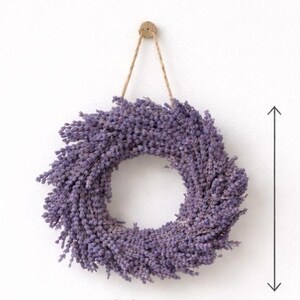 May include: A circular lavender wreath, approximately 12 inches in diameter, hangs against a white wall. The wreath is made of dried lavender flowers, showcasing a vibrant purple hue. It is suspended by a natural twine cord attached to a wooden button.