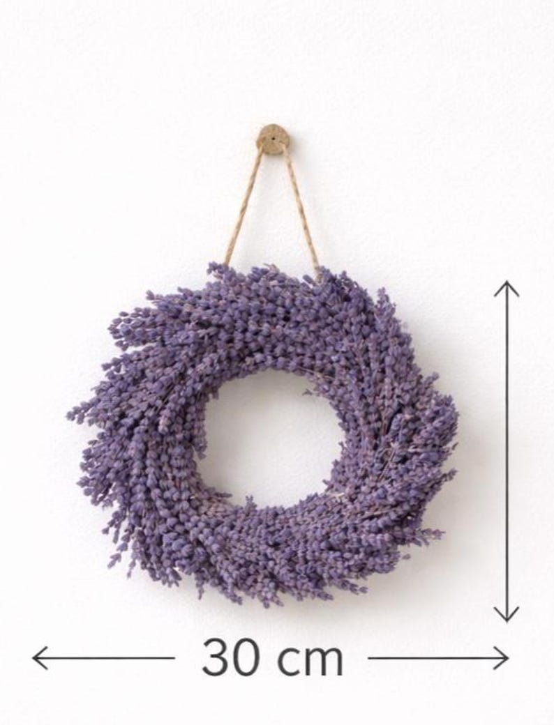 May include: A circular lavender wreath, approximately 12 inches in diameter, hangs against a white wall. The wreath is made of dried lavender flowers, showcasing a vibrant purple hue. It is suspended by a natural twine cord attached to a wooden button.