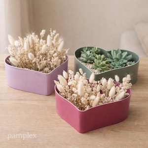 Può includere: Tre fioriere a forma di cuore nei toni del rosa e del verde. Una contiene succulente, mentre le altre contengono fiori beige secchi e soffici. Le fioriere sono su una superficie di legno chiaro, creando un'estetica naturale.