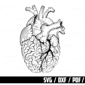 Geest en hart Hand getrokken SVG, menselijk brein, anatomische hart SVG, hart en hersenen snijden bestand, digitale download