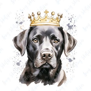 12 Black Lab Watercolor Clipart Bundle Cute Labrador Retriever Art Printable Dog Images for Scrapbooking Black Lab Gifts and Digital Decor