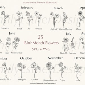 BirthMonth Svg Bundle | Flower Svg | Birth Flower Svg | Floral svg | Botanical svg | Rose svg | Daisy svg | Poppy svg | Birthday svg | svg