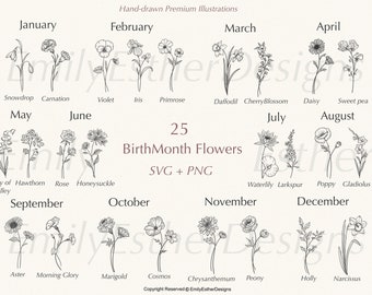 Birth Month  Svg Bundle | Flower Svg | Birth Flower Svg | Floral svg | Botanical svg | Rose svg | Daisy svg | Poppy svg | Birthday svg | svg