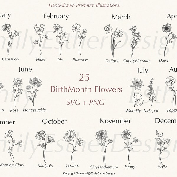 Birth Month  Svg Bundle | Flower Svg | Birth Flower Svg | Floral svg | Botanical svg | Rose svg | Daisy svg | Poppy svg | Birthday svg | svg