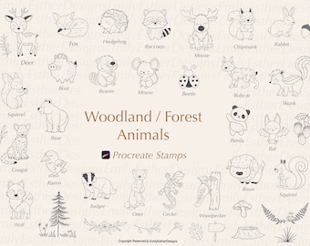 Woodland Animal Doodle Stamps: Procreate Brush Set (80 Designs)