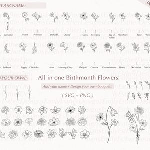 Paquete SVG de mes de nacimiento, SVG de flor, SVG de flor de nacimiento, SVG floral, SVG botánico, SVG de rosa, SVG de margarita, SVG de amapola, SVG de cumpleaños, SVG