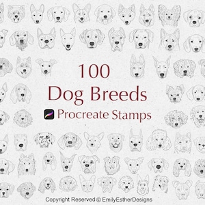 100 Dog Breeds Line Drawing Procreate Stamps: Animal Clipart