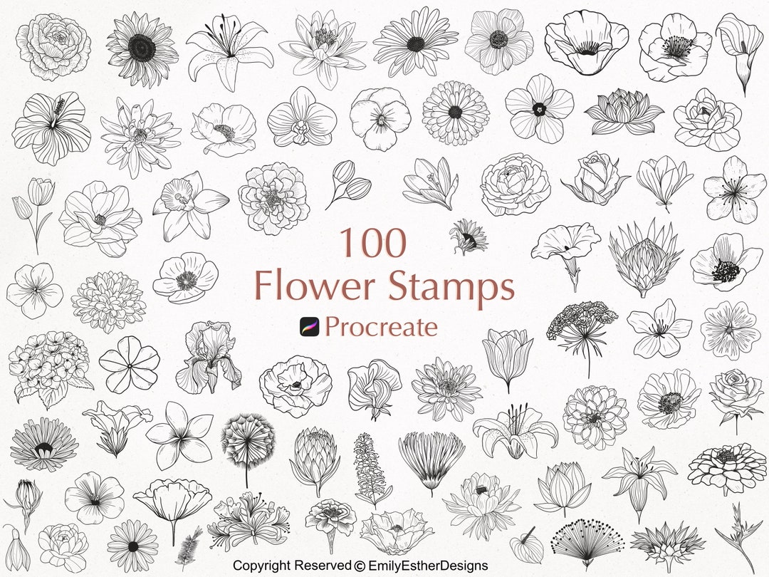 100 Floral Procreate Stamps: Botanical Flower Brushes - Etsy