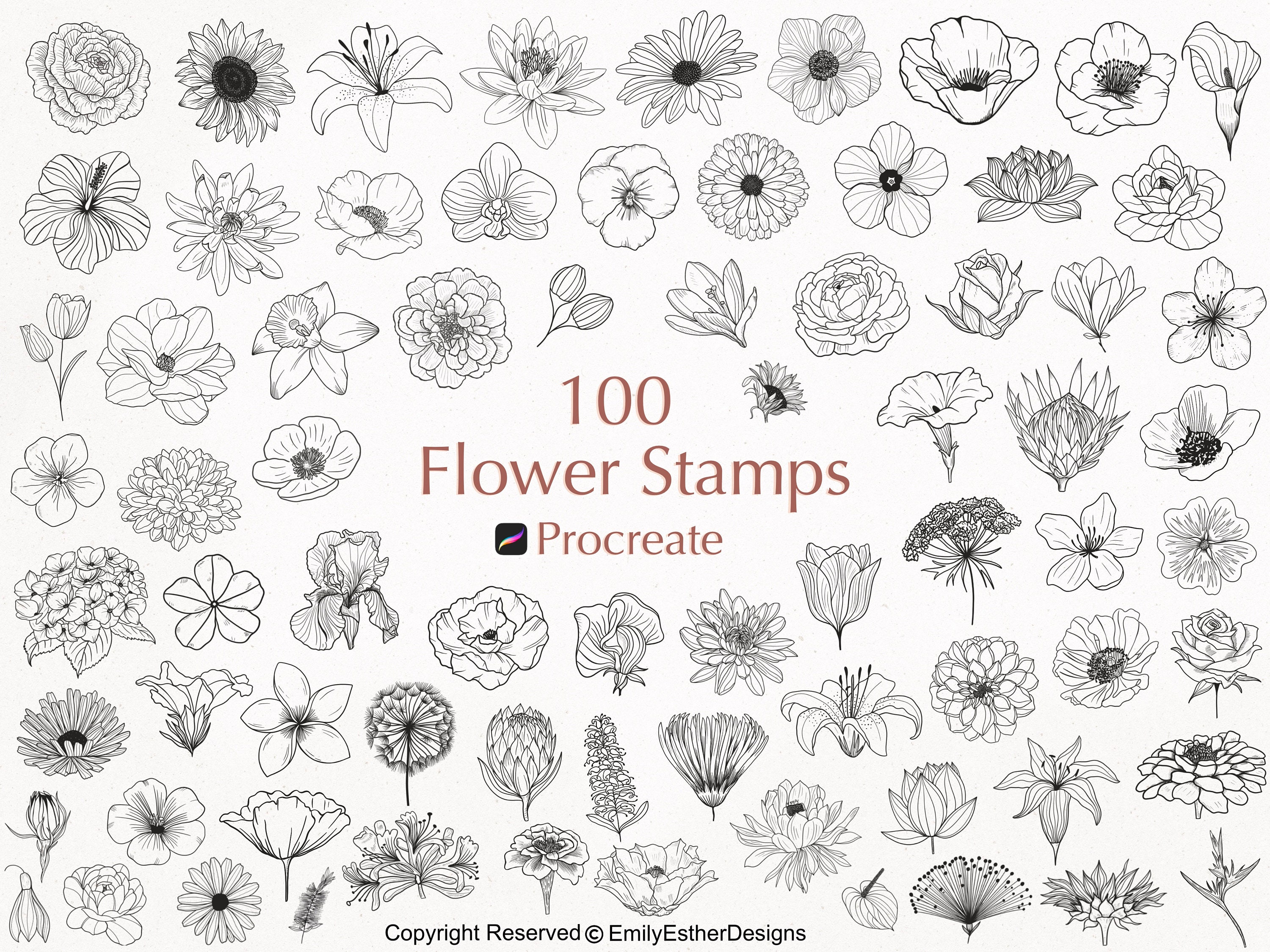 100 Procreate Flower Stamps Procreate Flower Stamps Floral Procreate  Procreate Botanical Flower Stamps Procreate Flower Brushes 