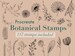 117 Procreate Botanical Stamps | Floral Procreate Stamps | Flowers, Leaves and Branches Procreate Stamps | digital stamp brush 