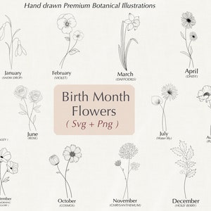 Birth Month Flowers Svg | Birthday Flower | Flower Clipart | flower svg , rose svg, poppy svg, daisy svg | Cricut | Silhouette use