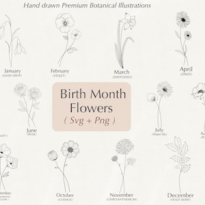 Geboortemaand bloemen svg, verjaardagsbloem, bloem clipart, bloem svg, roos svg, klaproos svg, madeliefje svg, cricut, silhouetgebruik