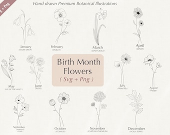 Birth Month Flower SVG Bundle: Botanical Clipart (PNG, Cricut, Silhouette)