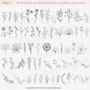 200 Botanical Svg Bundle Floral svg Flower Svg Botanical clipart Flower Clipart floral leaves and branches svgCommercial use included image 3