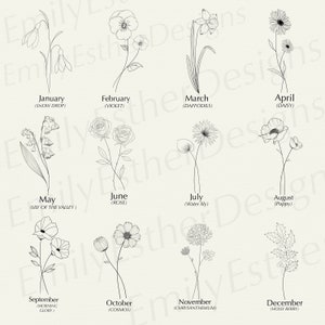 May include: A black and white line drawing illustration of flowers representing each month of the year. The flowers are labeled with the month and the common name of the flower.  January: Snowdrop, February: Violet, March: Daffodil, April: Daisy, May: Lily of the Valley, June: Rose, July: Water Lily, August: Poppy, September: Morning Glory, October: Cosmos, November: Chrysanthemum, December: Holly Berry.