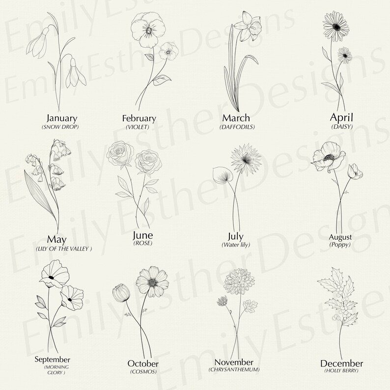 May include: A black and white line drawing illustration of flowers representing each month of the year. The flowers are labeled with the month and the common name of the flower.  January: Snowdrop, February: Violet, March: Daffodil, April: Daisy, May: Lily of the Valley, June: Rose, July: Water Lily, August: Poppy, September: Morning Glory, October: Cosmos, November: Chrysanthemum, December: Holly Berry.