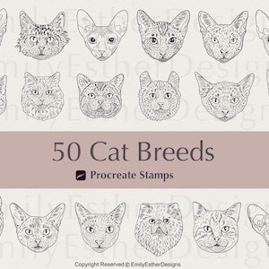 50 cat breeds procreate stamps, cat stamps, procreate stamps, procreate brushes, digital stamps, cat drawings, commercial use included