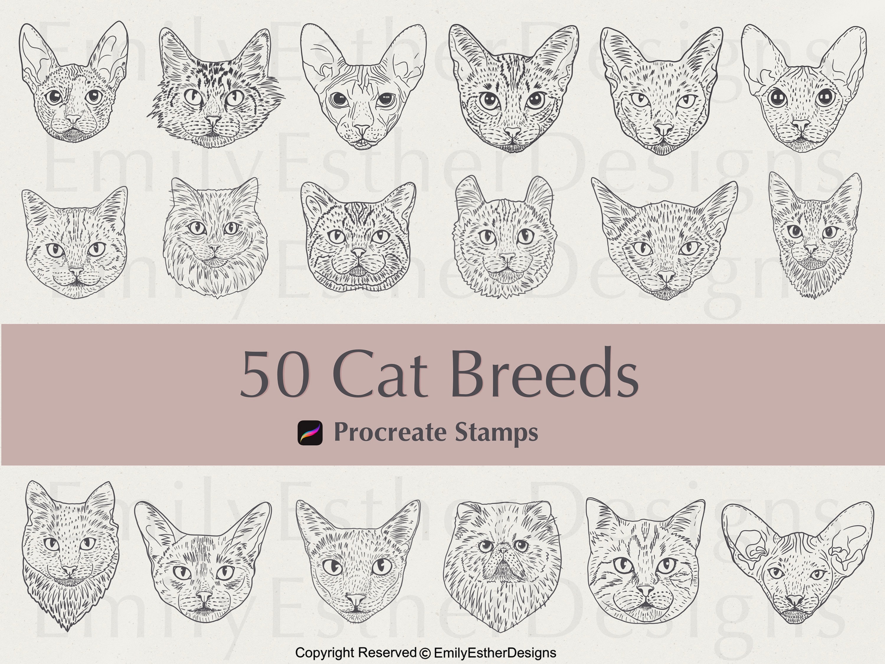 50 Cat Breeds Procreate Stamps Cat Stamps Procreate Stamps Etsy 50 Cat Breeds Procreate Stamps Cat Stamps Procreate Stamps Etsy