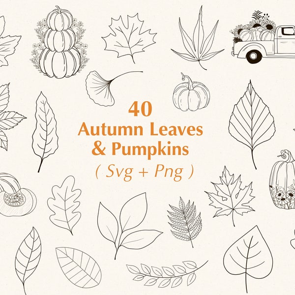 Autumn Svg Bundle | Fall Svg | Leaves Svg | Pumpkin Svg | Svg Files for Cricut | Svg Bundle | Silhouette