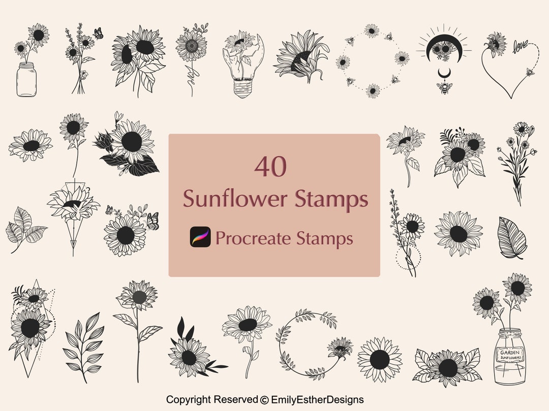 40 Sunflower Procreate Stamps: Hand-drawn Floral Brush Set - Etsy