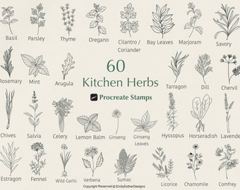 60 Kitchen Herbs Procreate Stamps, Procreate Herb Stamps, Procreate Stamps, Procreate Brush, Procreate Botanical, Commercial use included