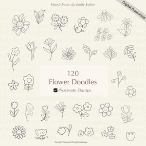 Procreate Blumenstempel, Blumenstempel für Procreate, Procreate Pinsel, Procreate Stempel, Procreate Botanische Stempel, Procreate Doodle Stempel