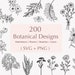200 Botanical Svg Bundle | Floral svg |Flower Svg |Botanical clipart |Flower Clipart |floral leaves and branches svg|Commercial use included