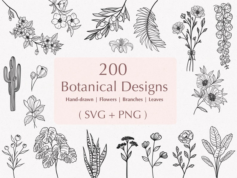 200 Botanical Svg Bundle Floral svg Flower Svg Botanical clipart Flower Clipart floral leaves and branches svgCommercial use included image 1