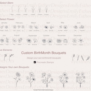 Geburtsmonat Blumenstempel, Procreate Pinsel, Procreate Stempel, Stempelbürsten, Geburtsmonat Blumen, Blume Procreate, Blumenstempel