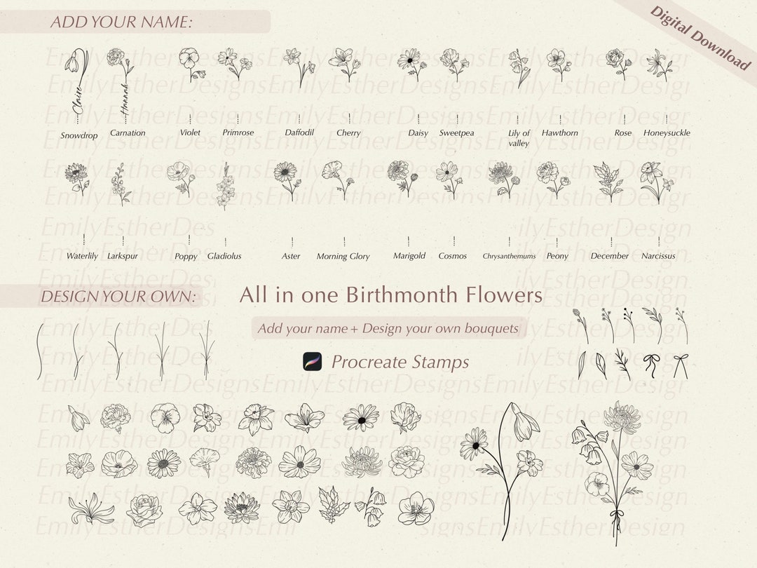 Procreate Flower Stamp Set - Birth Month Floral Brushes for Creative ...