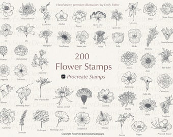200 procreate flower stamps, floral procreate, procreate botanical, flower stamps, procreate flower brushes