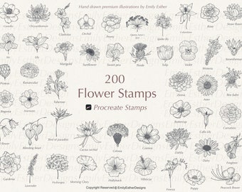 200 Procreate Flower Stamps | Procreate Flower Stamps | Floral Procreate | Procreate Botanical | Flower Stamps | Procreate Flower Brushes