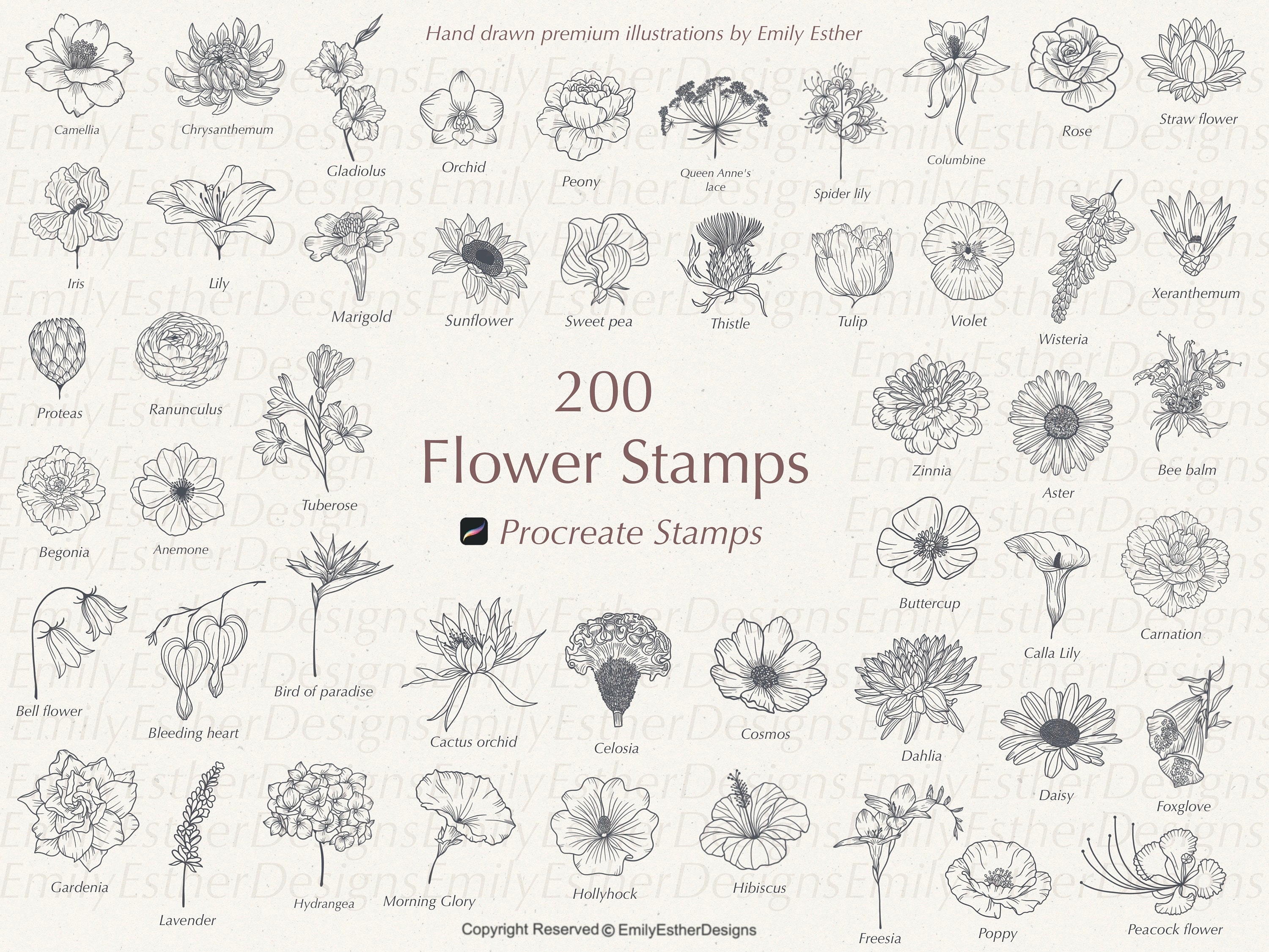 200 Procreate Flower Stamps: Botanical Brush Set (digital Download) - Etsy