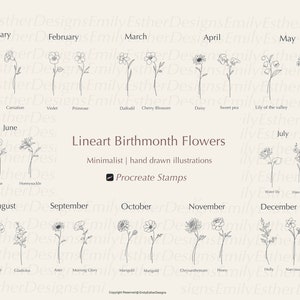 Procreate Birth Month Flower Stamps, Procreate Flower Stamps, Procreate Botanical Stamps , Procreate floral tattoo stamps