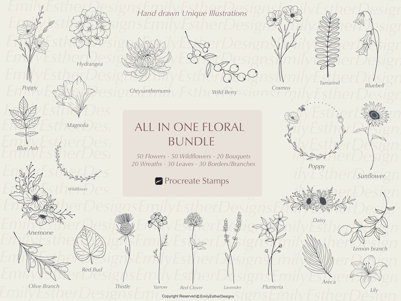 Procreate Flower Stamp Brush Set: Botanical Floral Bundle - Etsy