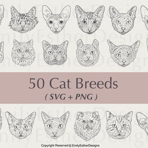 Lot de 50 dessins de chat SVG – parfait pour la Cricut ! Chats mignons SVG, clipart chaton, animaux SVG et dessins de têtes de chat.
