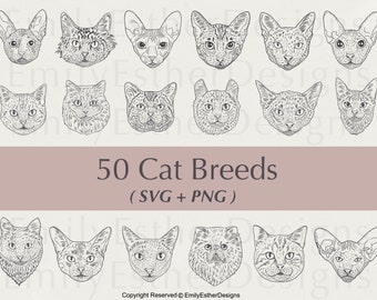 50 kattenrassen tekeningen SVG-bundel – Cricut, clipart (PNG)