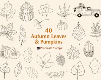 40 Autumn Leaves & Pumpkin Procreate Stamps (Digital Stamps)
