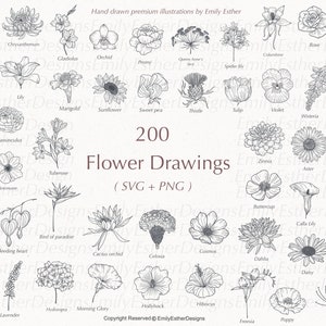 Flor svg, floral svg, botânico svg, flor silvestre svg, flor de nascimento svg, mês de nascimento svg, clipart de flor, tatuagem svg, rosa svg